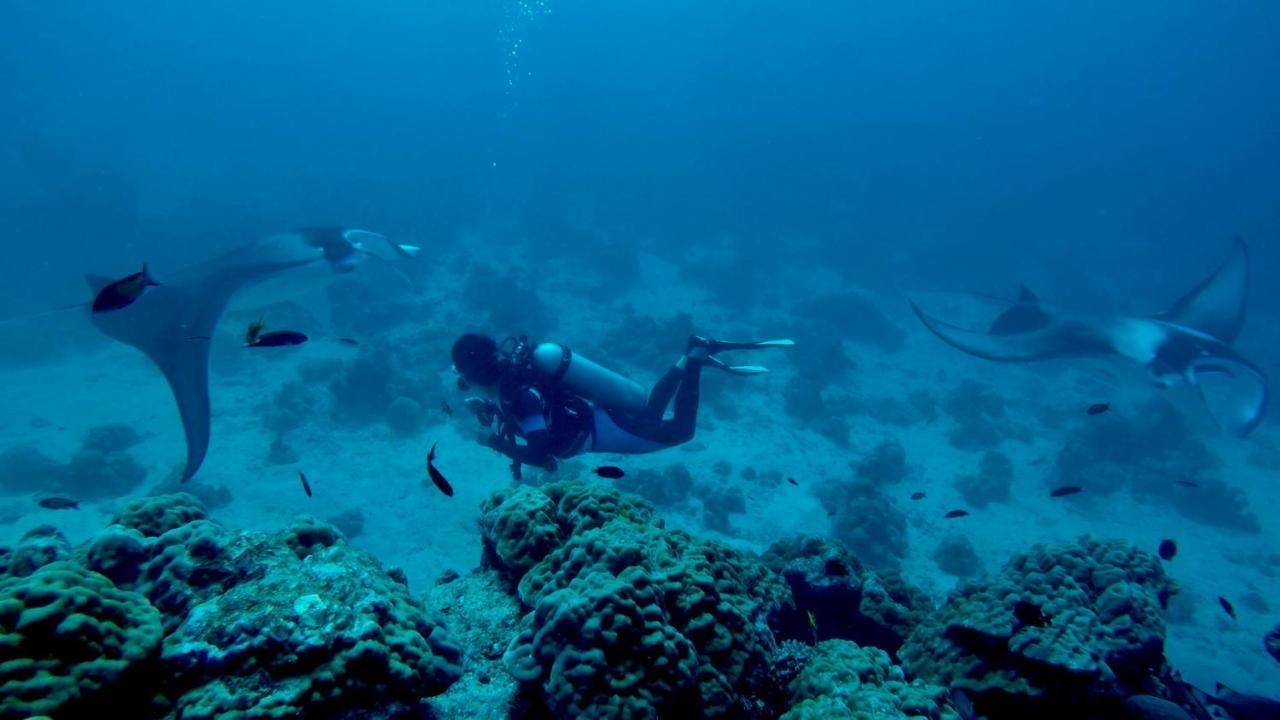 Rasreef Rasdhoo Maldives Hotel Bagian luar foto