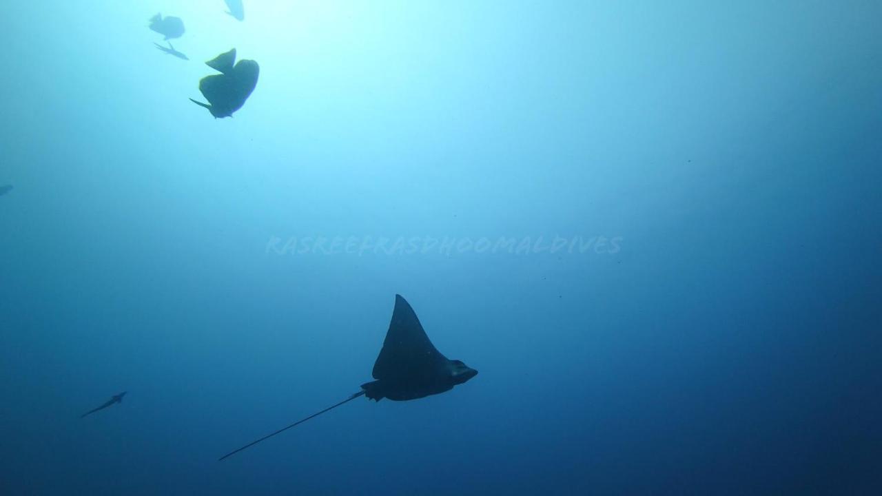 Rasreef Rasdhoo Maldives Hotel Bagian luar foto