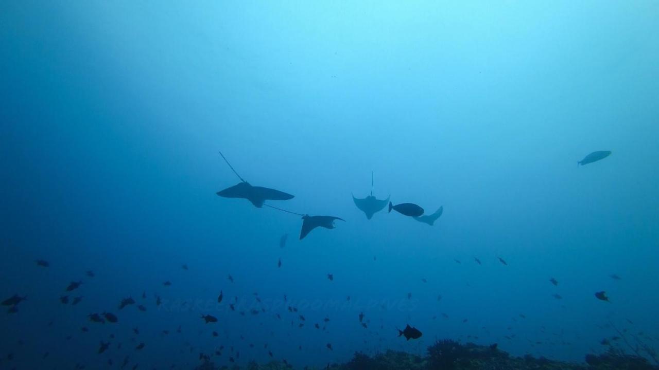Rasreef Rasdhoo Maldives Hotel Bagian luar foto