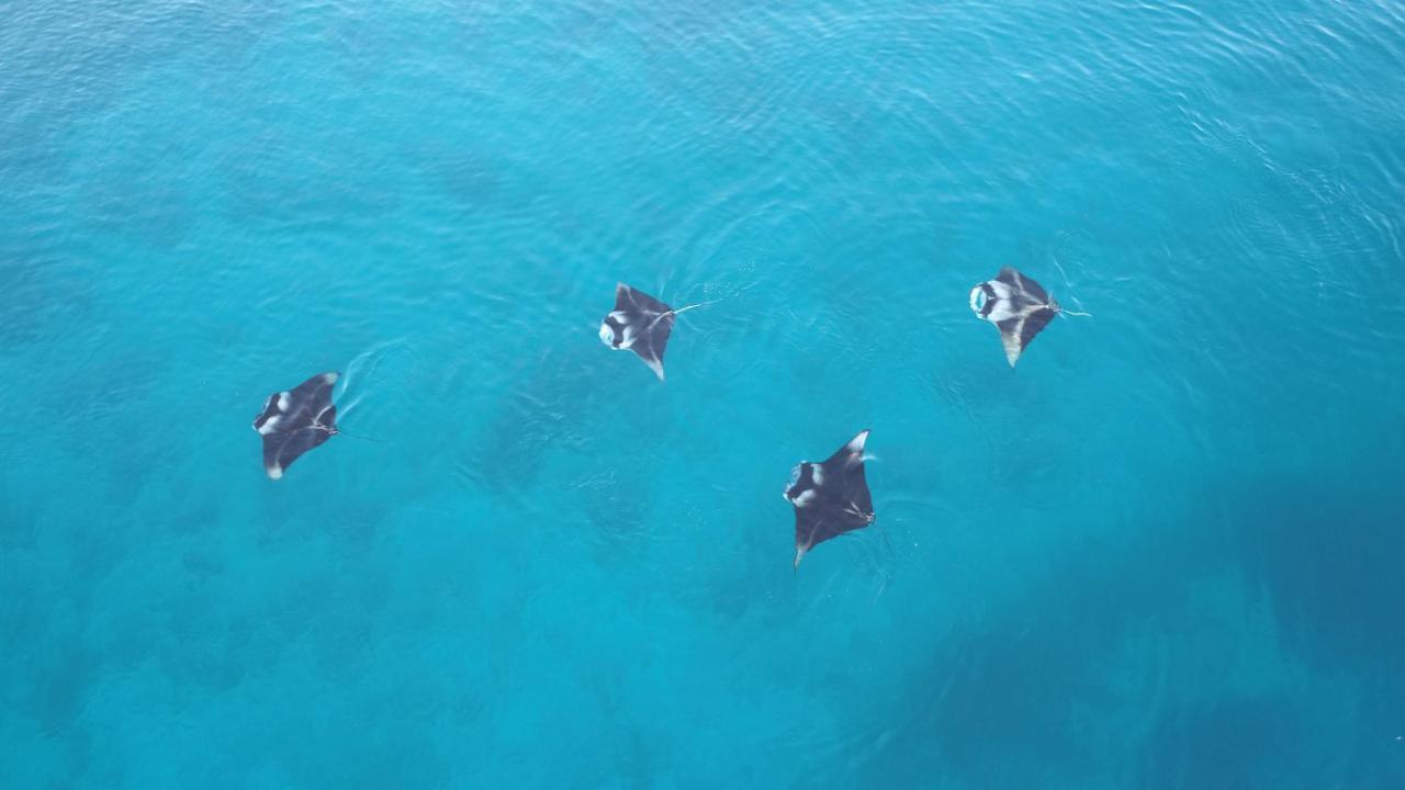 Rasreef Rasdhoo Maldives Hotel Bagian luar foto