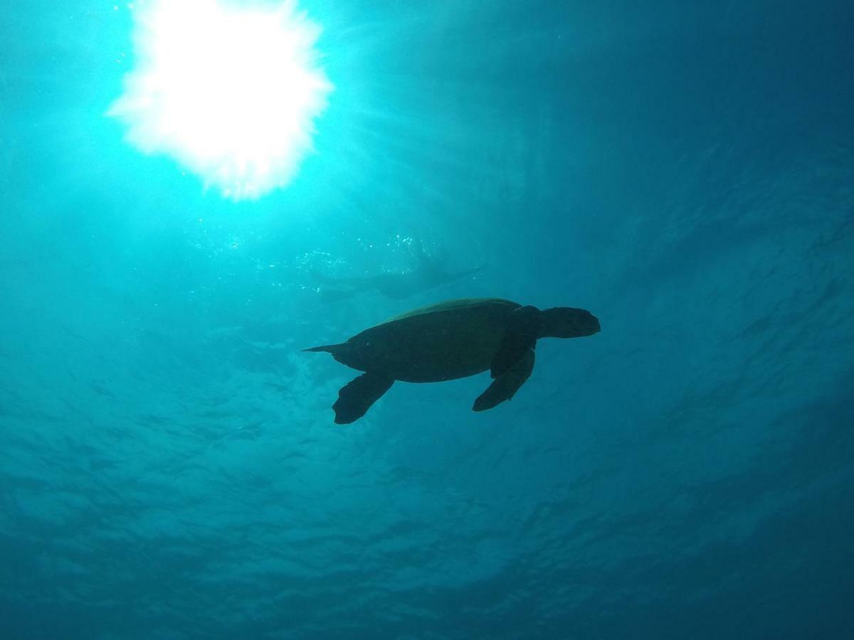 Rasreef Rasdhoo Maldives Hotel Bagian luar foto