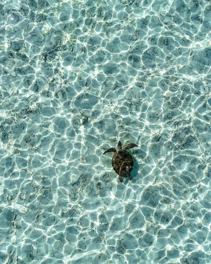 Rasreef Rasdhoo Maldives Hotel Bagian luar foto